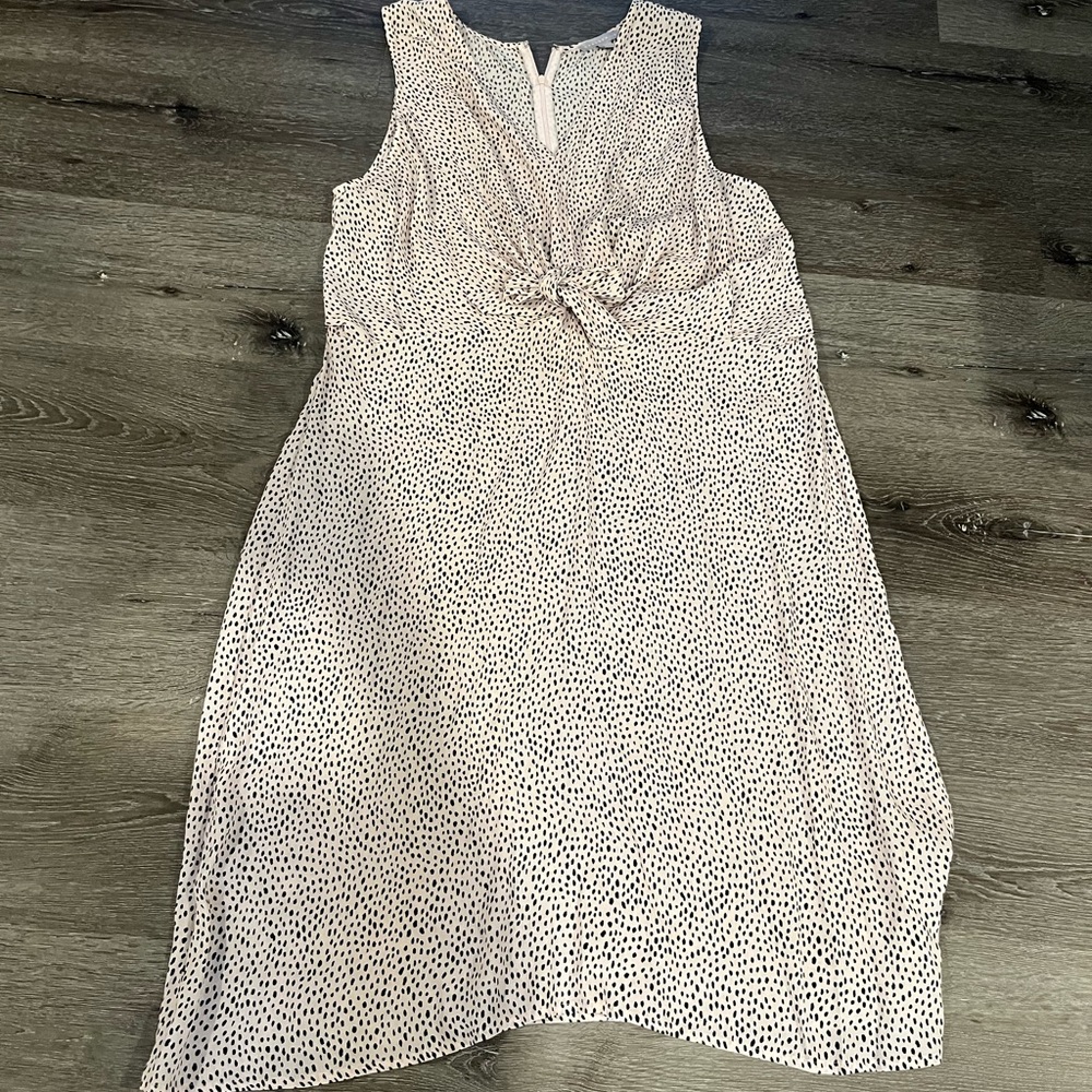 Polka Dot Dress